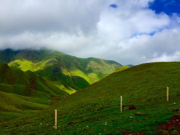 大海草山