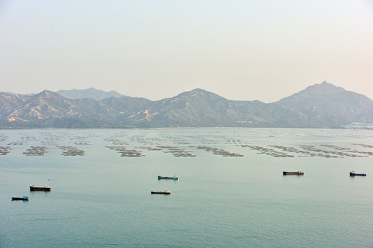 深圳湾出海口