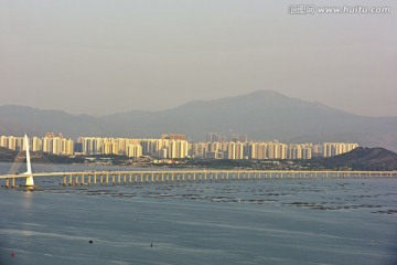 深圳红树林