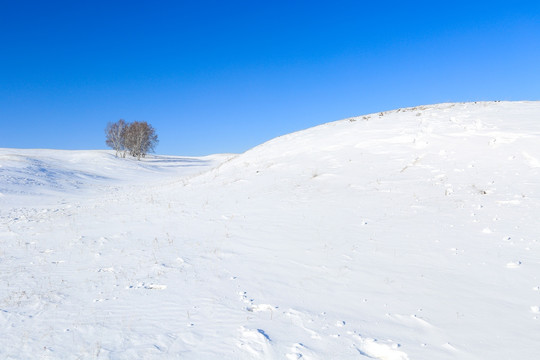 雪景