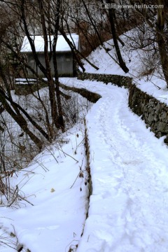 小径 雪景 积雪 小路 曲径