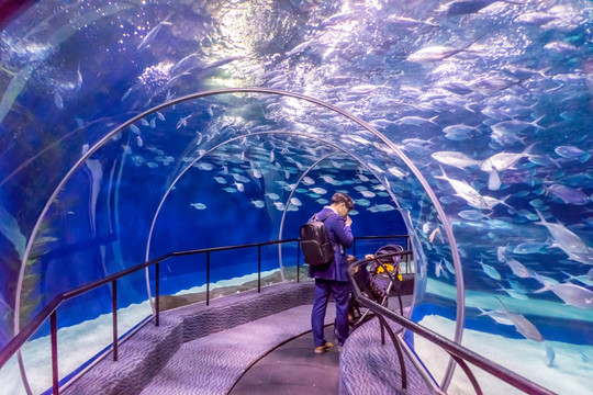海底世界 鱼群 海洋水族馆