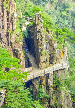 黄山风光 黄山栈道 黄山松