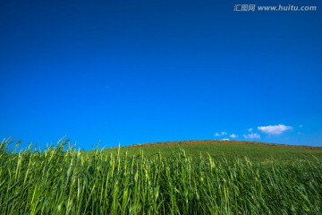 东川红土地