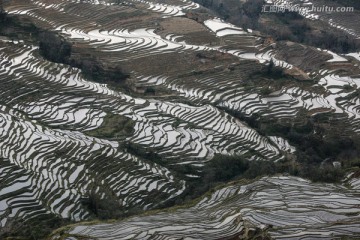 云南元阳梯田