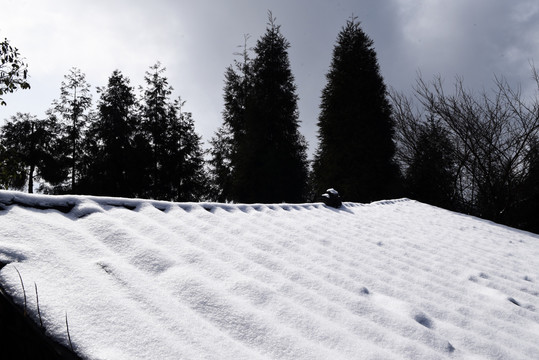 山居