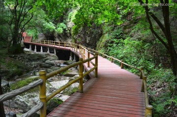 牛背梁风景区