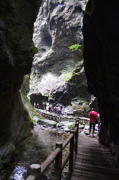 牛背梁风景区