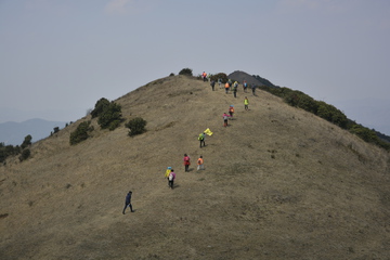 春天组团徒步登山踏青活动