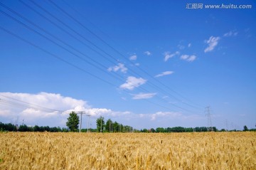 田野里的输电塔