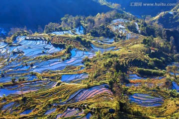 元阳梯田