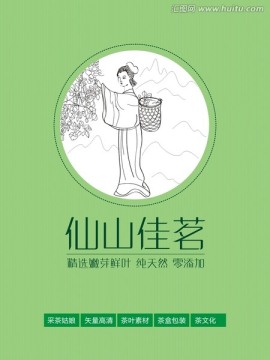 采茶女 采茶 茶山 茶盒 茶葉