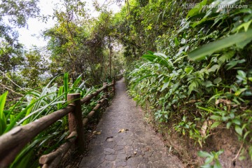 山间小路