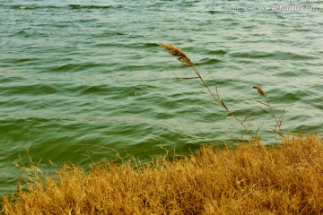 碧水湖畔