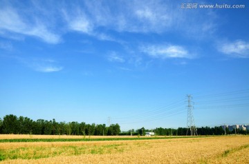 麦熟时的田园风光