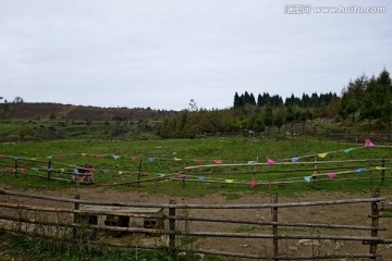 千野草场