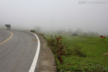 千野草场