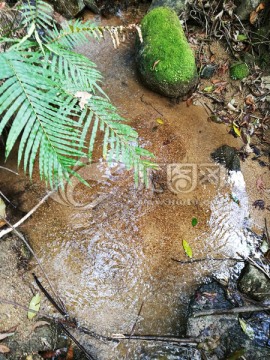 大自然纯天然泉水