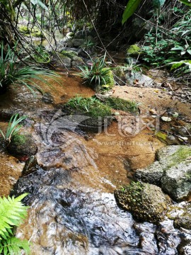 大自然天然泉水