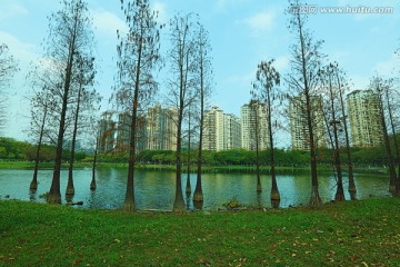 小区公园湖景