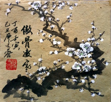 中國畫白梅花