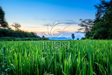 南岗排瑶寨沿途风景