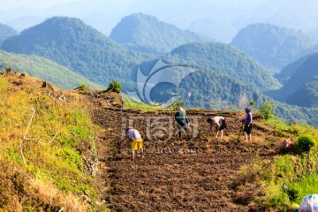 南岗排瑶寨沿途风景