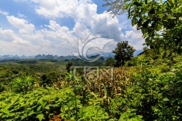 三排瑶寨自然风景