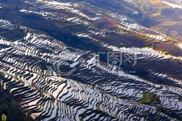 元阳梯田