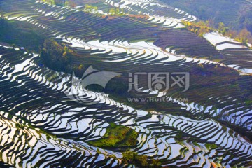 元阳梯田