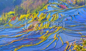 元阳坝达梯田