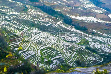 元阳坝达梯田