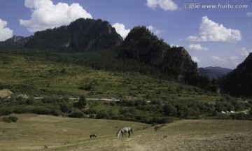 石山下的牧场