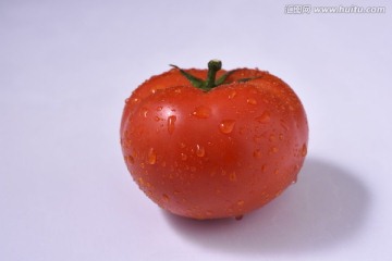 西红柿食材