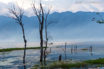 云南大理湿地