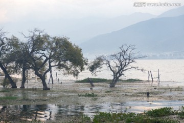 云南大理湿地