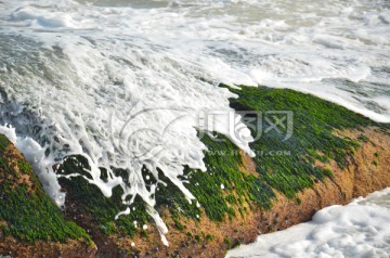 红海湾