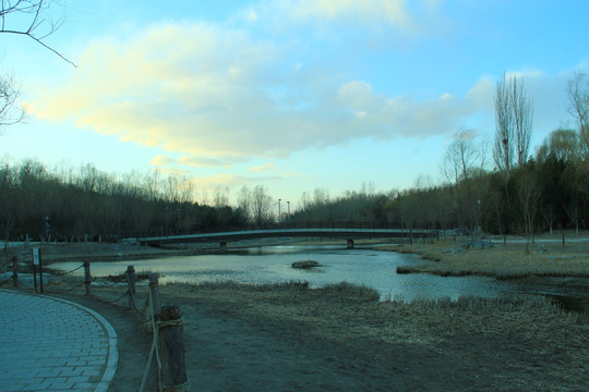 奥林匹克公园湿地