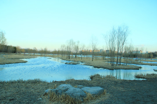 奥林匹克公园湿地