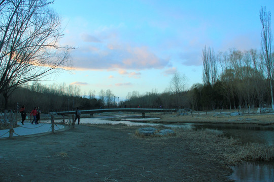 奥林匹克公园湿地