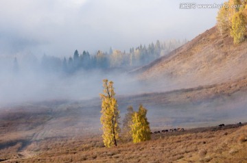 秋景