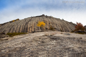 山