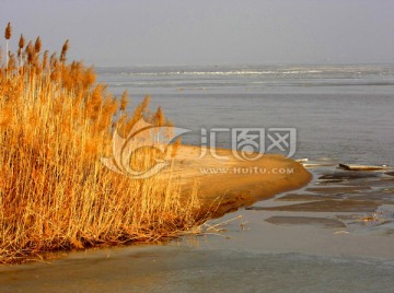 黄河湿地 高格