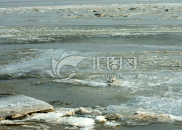 黄河湿地 高格