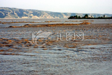 洽川黄河湿地 高格