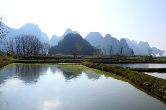 会仙湿地