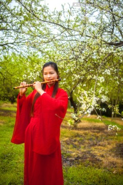 李树下吹笛的红衣女孩