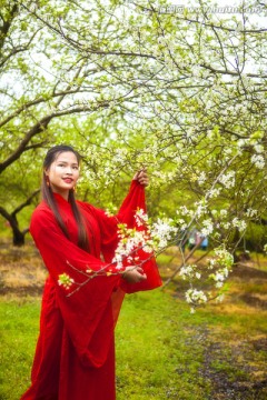 红色古装美女赏花