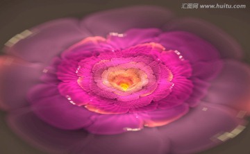 花朵