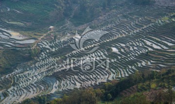 红河梯田